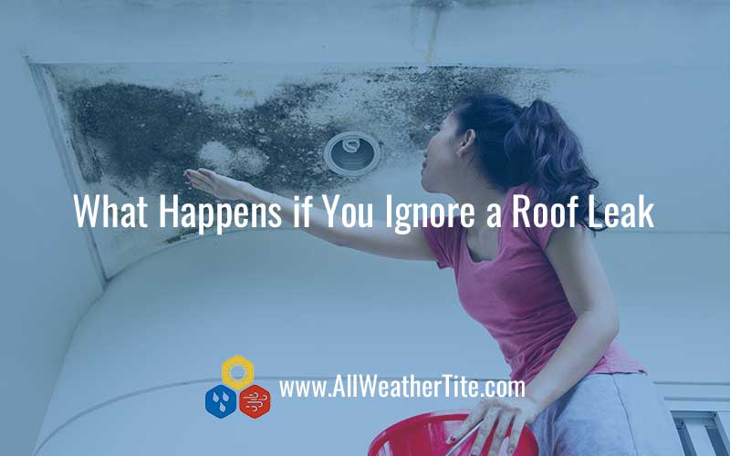 What Happens if You Ignore a Roof Leak