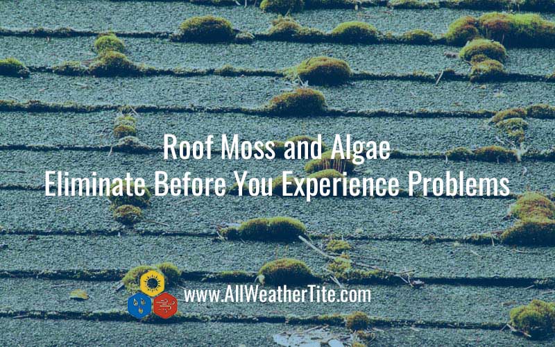 Roof Moss and Algae - Eliminate Before You Experience Problems